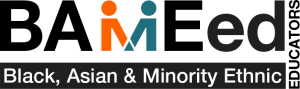 BAMEed Educators